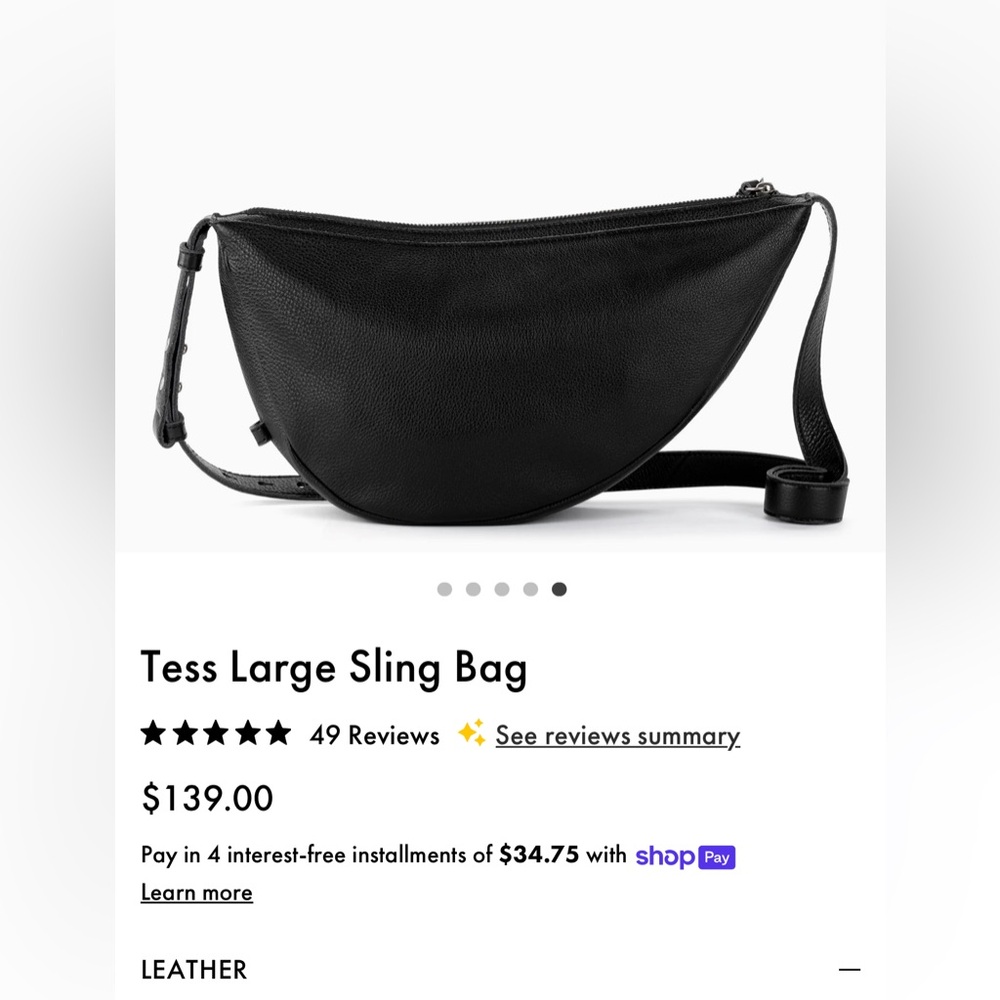 The Sak Tess large purse